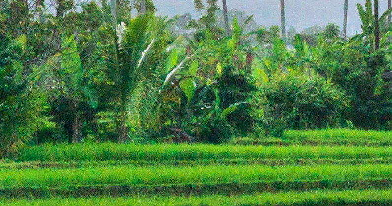 Bali Holiday Deals 2024/25 Travel Specials Pentravel Bali Holiday Deals 2024/25 Travel Specials Pentravel